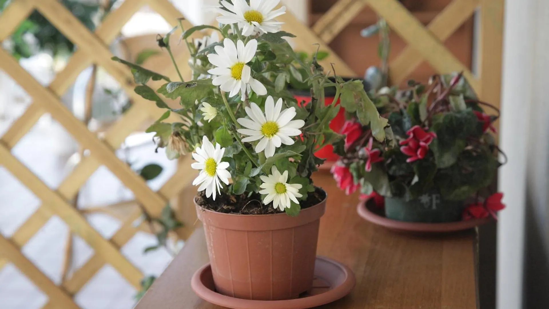 Etna Sea House Bed & Breakfast Catania
